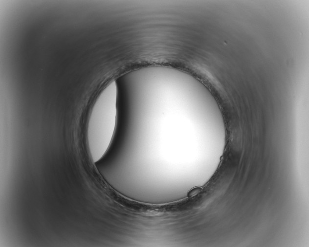 X0000088730635200705311116