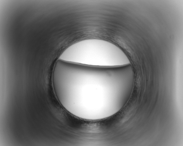 X0000088730639200705311116