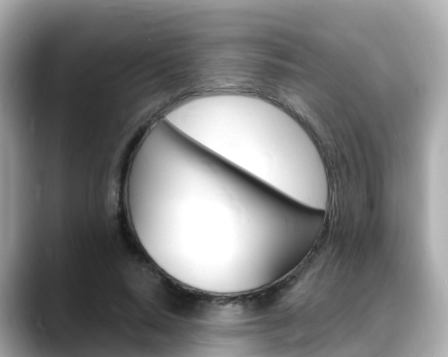 X0000088730640200705311116