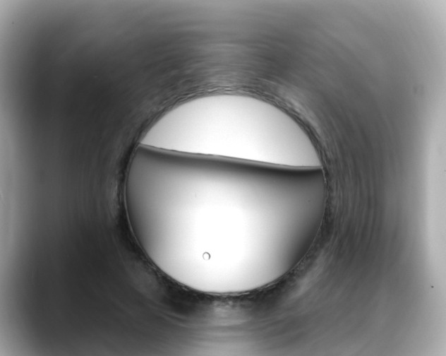 X0000088730641200705311116