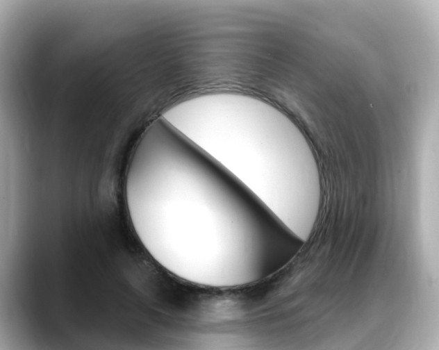 X0000088730643200705311116