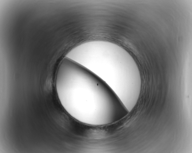 X0000088730644200705311116