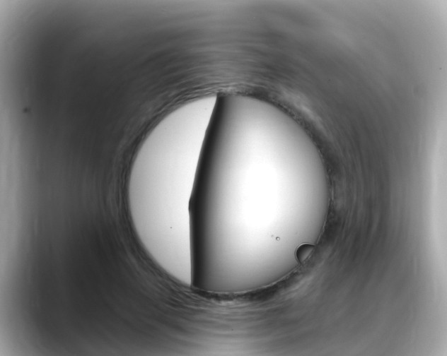 X0000088730645200705311116
