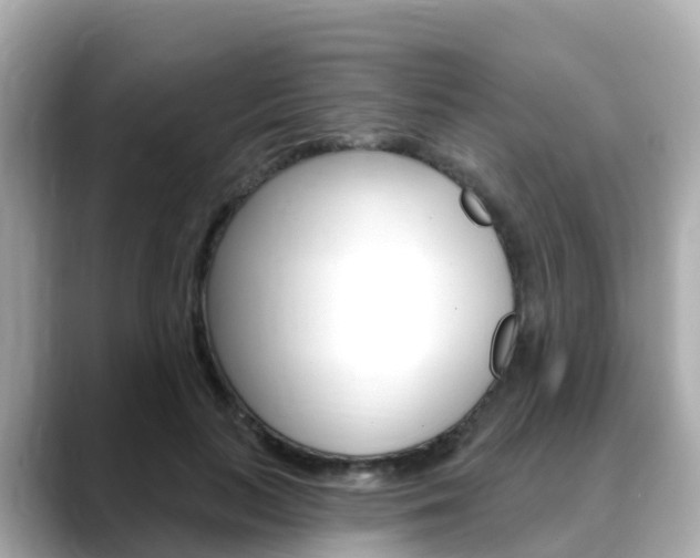 X0000088730647200705311116