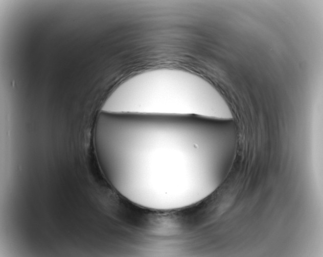 X0000088730652200705311116