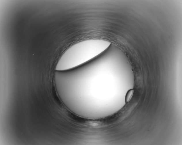 X0000088730654200705311116