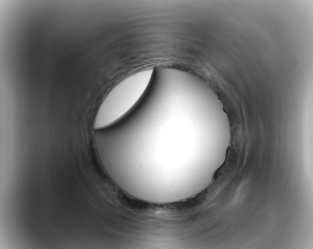 X0000088730655200705311116