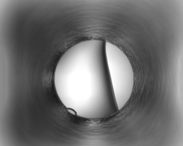 X0000088730660200705311116
