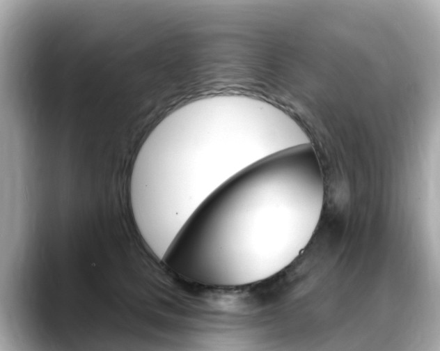 X0000088730661200705311116
