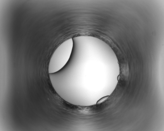 X0000088730667200705311116