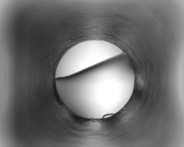 X0000088730668200705311116