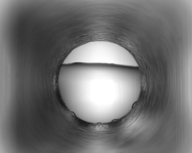 X0000088730670200705311116
