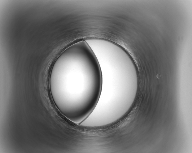 X0000088730673200705311116