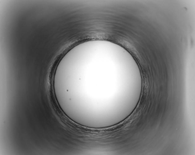 X0000088730674200705311116