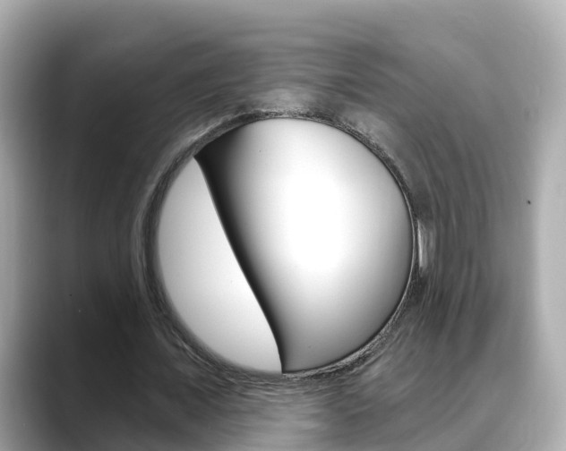 X0000088730675200705311116