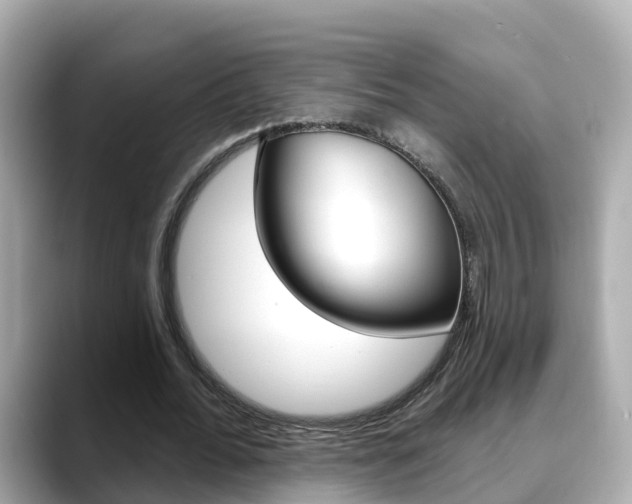 X0000088730676200705311116