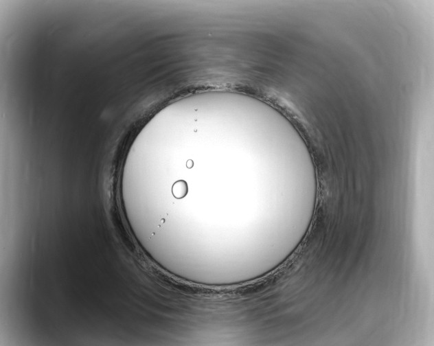 X0000088730679200705311116