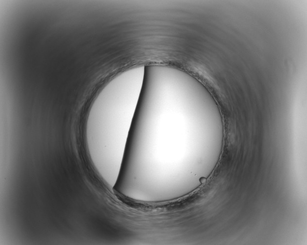 X0000088730683200705311116
