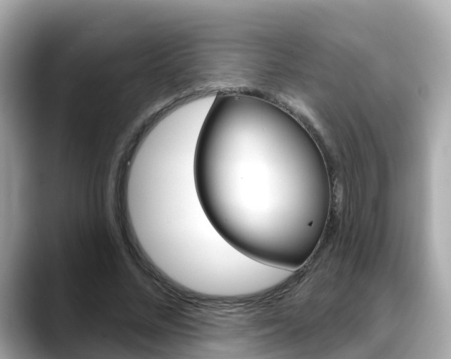 X0000088730684200705311116