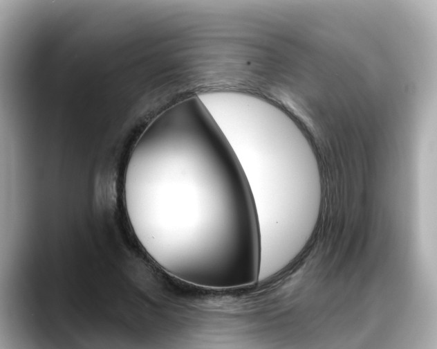 X0000088730685200705311116