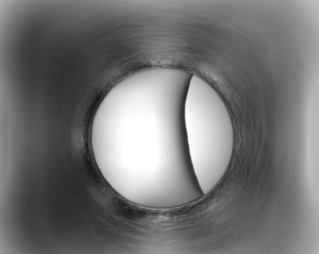 X0000088730687200705311116