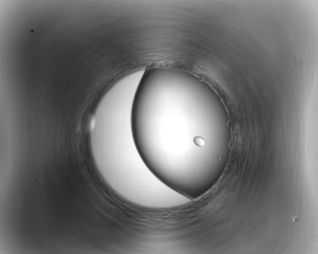 X0000088730692200705311116