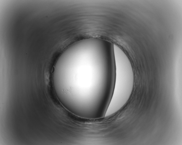 X0000088730693200705311116
