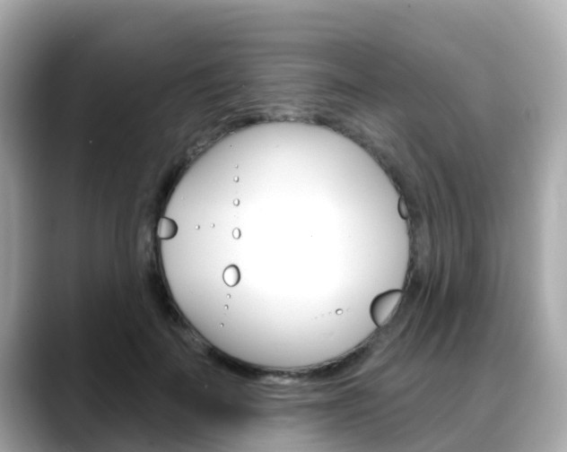 X0000088730699200705311116
