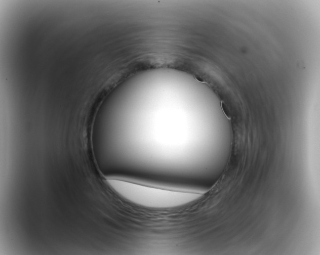 X0000088730700200705311116