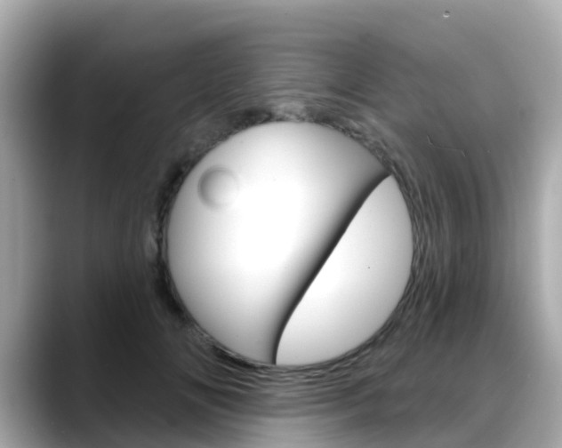 X0000088730702200705311116