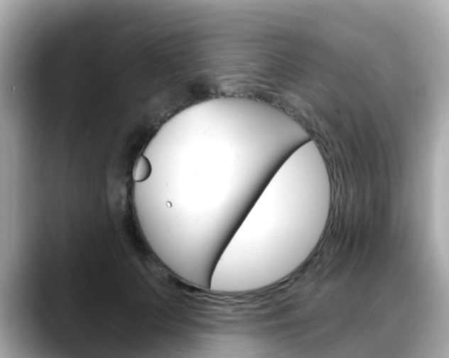 X0000088730703200705311116