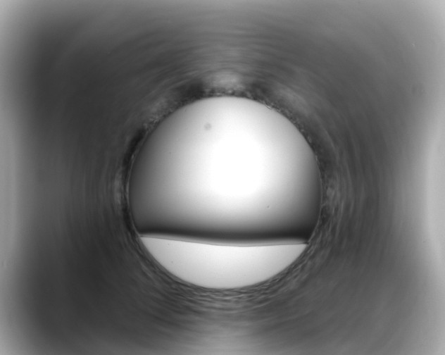 X0000088730708200705311115
