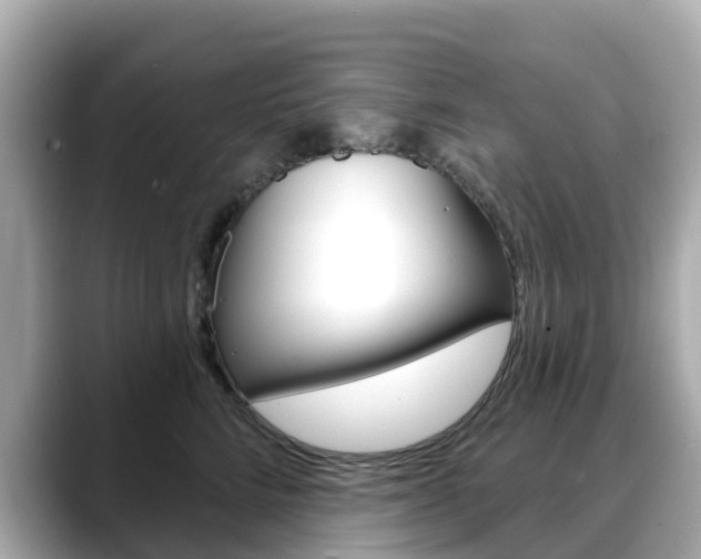 X0000088730712200705311115