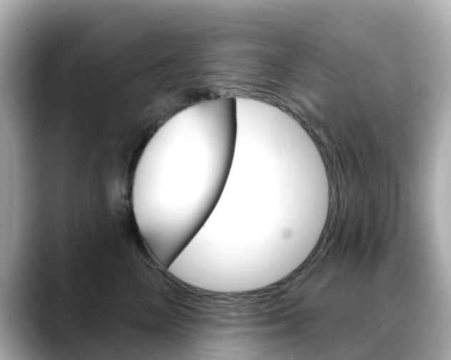 X0000088730714200705311115
