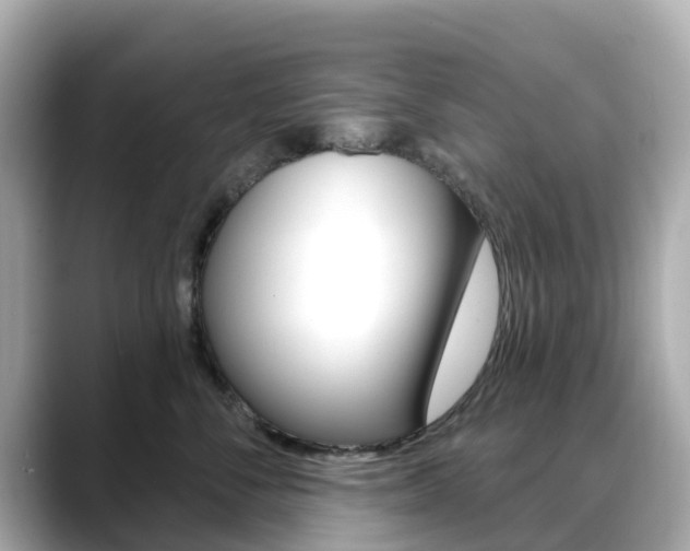 X0000088730716200705311115