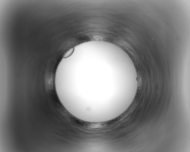 X0000088730717200705311115