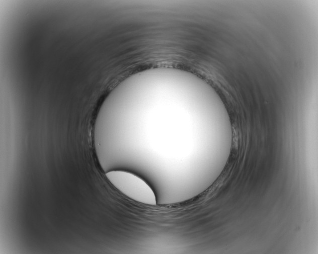 X0000088730718200705311115