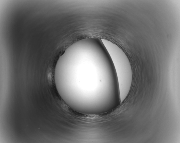 X0000088730720200705311115