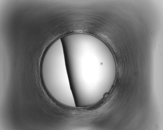 X0000088730721200705311115