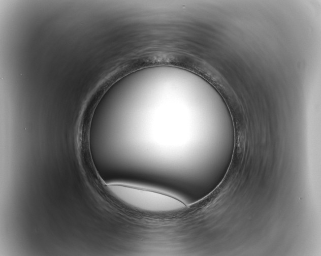 X0000088730722200705311115