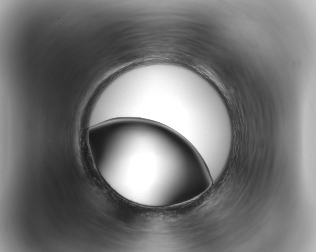 X0000088730724200705311115