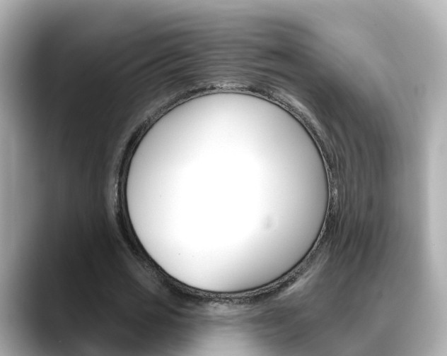 X0000088730725200705311115