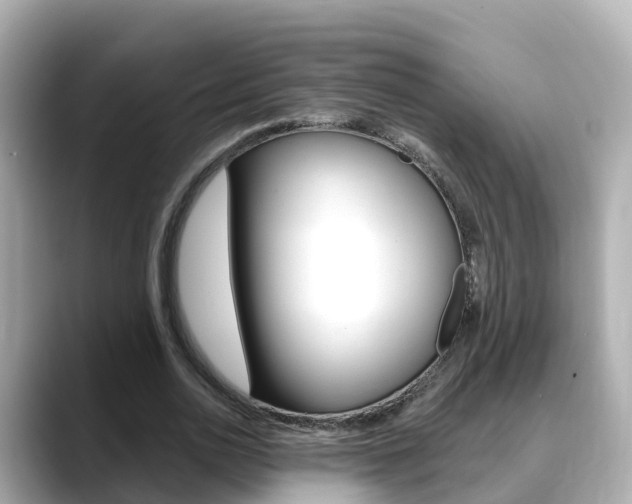X0000088730726200705311115