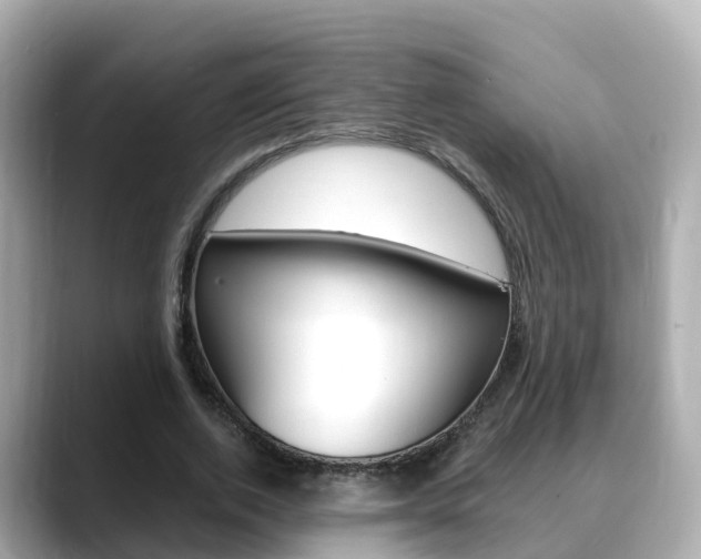 X0000088730728200705311115