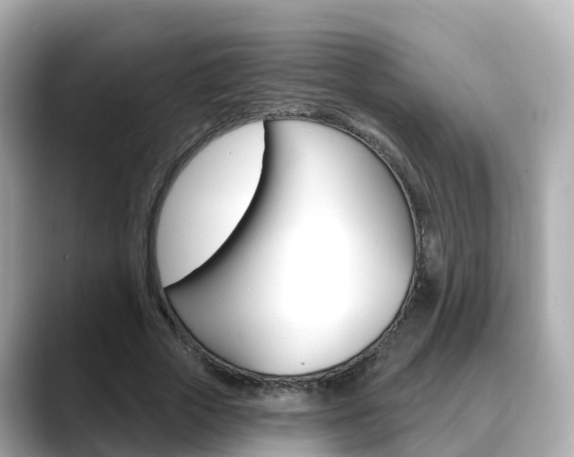 X0000088730729200705311115
