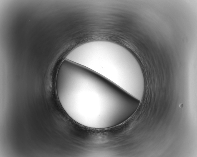 X0000088730731200705311115