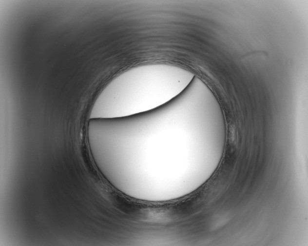 X0000088730733200705311115