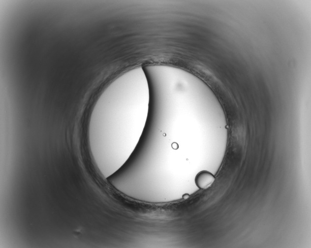 X0000088730734200705311115