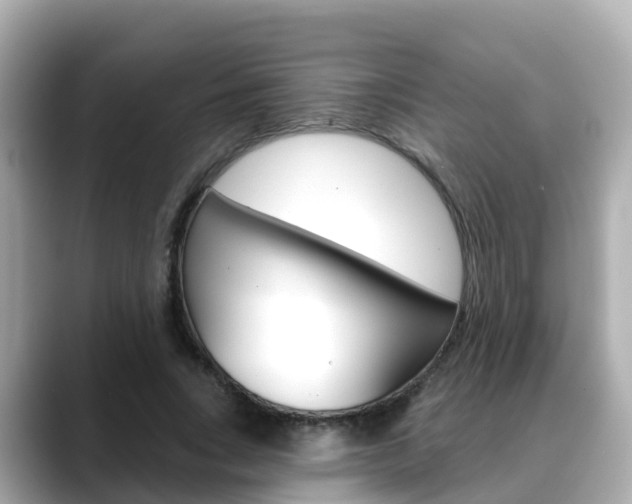 X0000088730735200705311115