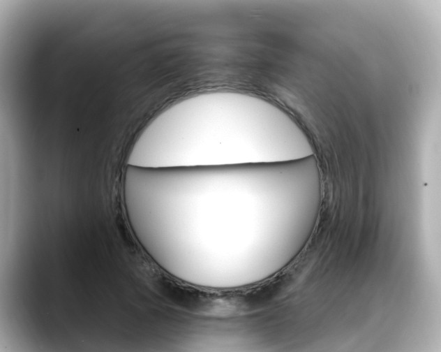 X0000088730737200705311115
